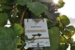 Herbstausfahrt 2023 – Bild 61