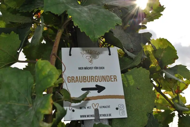 Herbstausfahrt 2023 – Bild 61