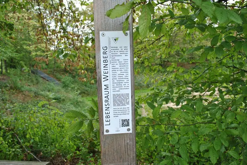 Herbstausfahrt 2023 – Bild 64